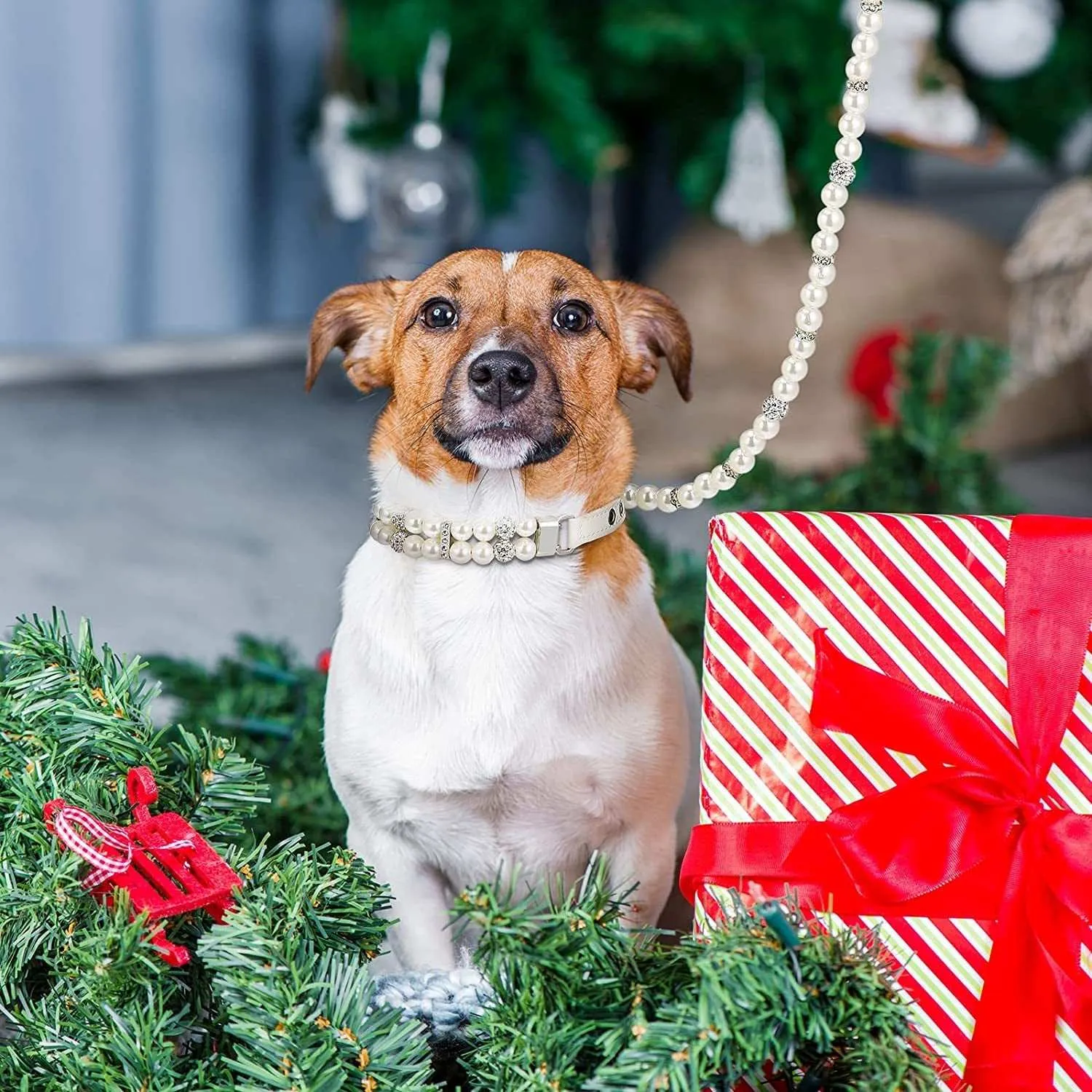 2 Pcs Pearl Collar and Leash for Dogs