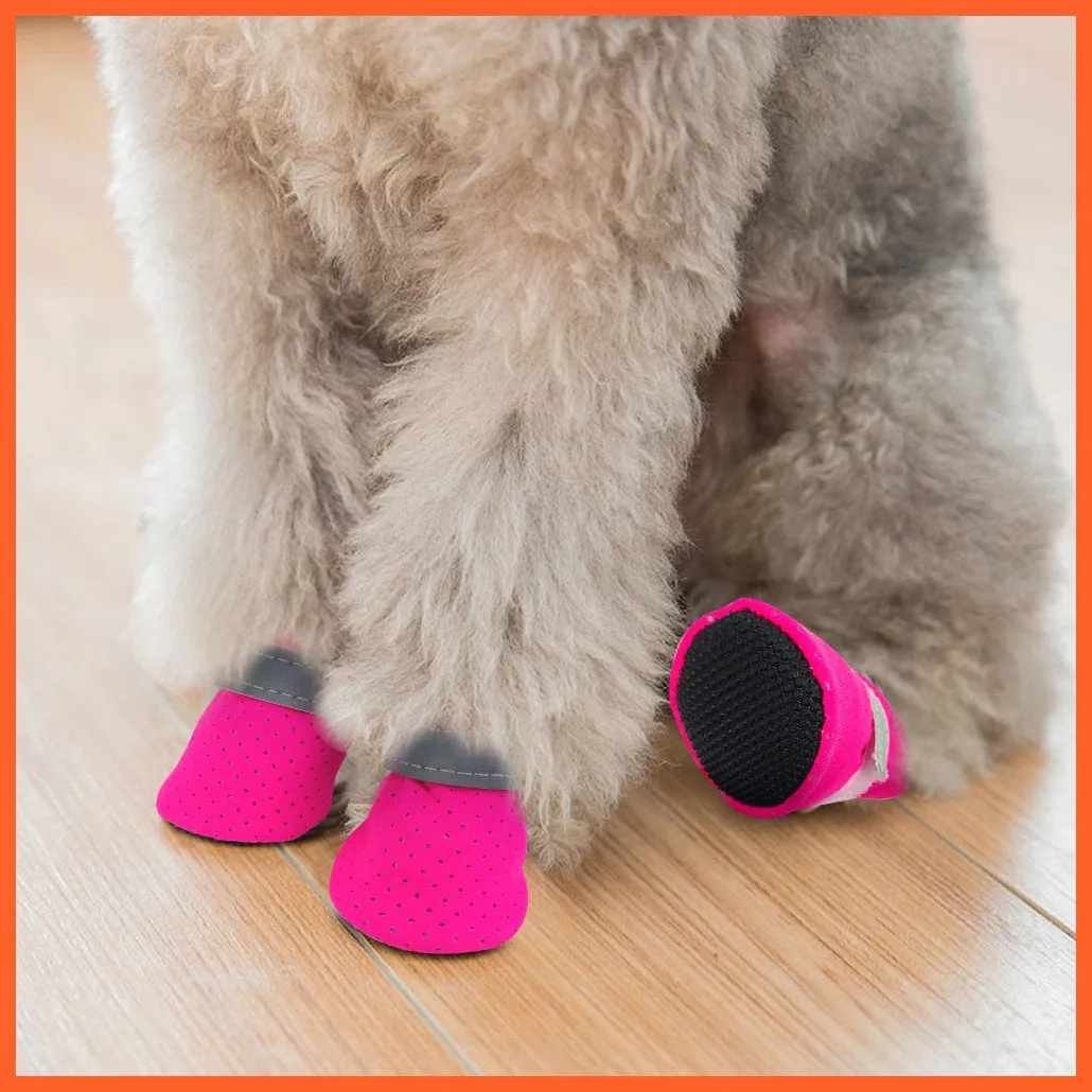 4Pcs/Set Pet Anti-Slip Small Dog Shoes | Cute Reflective Spring Summer Pet Shoes