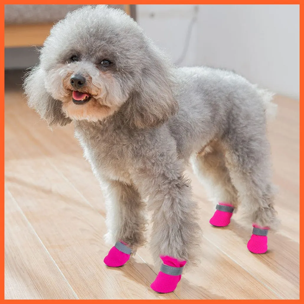 4Pcs/Set Pet Anti-Slip Small Dog Shoes | Cute Reflective Spring Summer Pet Shoes