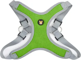 Adjustable Dog Harness Vest and Leash Set for Small, Medium Dogs No Pull, Step in Escape Proof Reflective Easy Walk Puppy Harness, Green, S (Comes with A Measuring Tape)