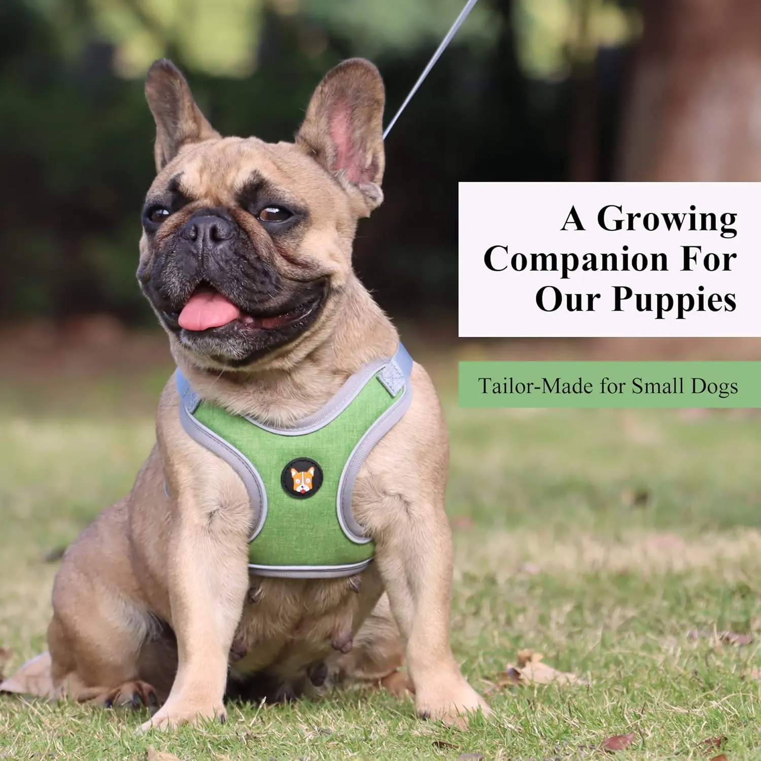 Adjustable Dog Harness Vest and Leash Set for Small, Medium Dogs No Pull, Step in Escape Proof Reflective Easy Walk Puppy Harness, Green, S (Comes with A Measuring Tape)