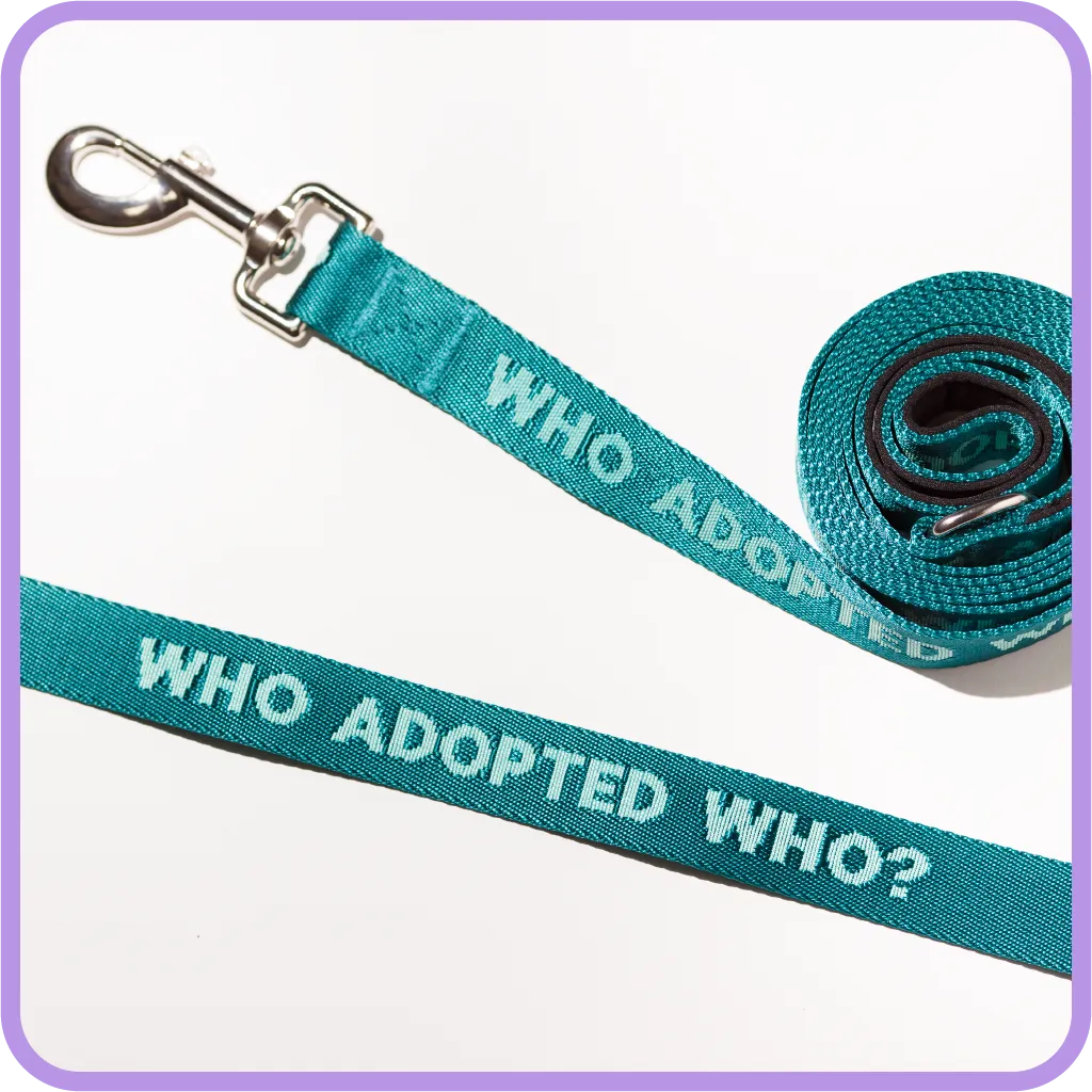 Adopted Who Dog Leash
