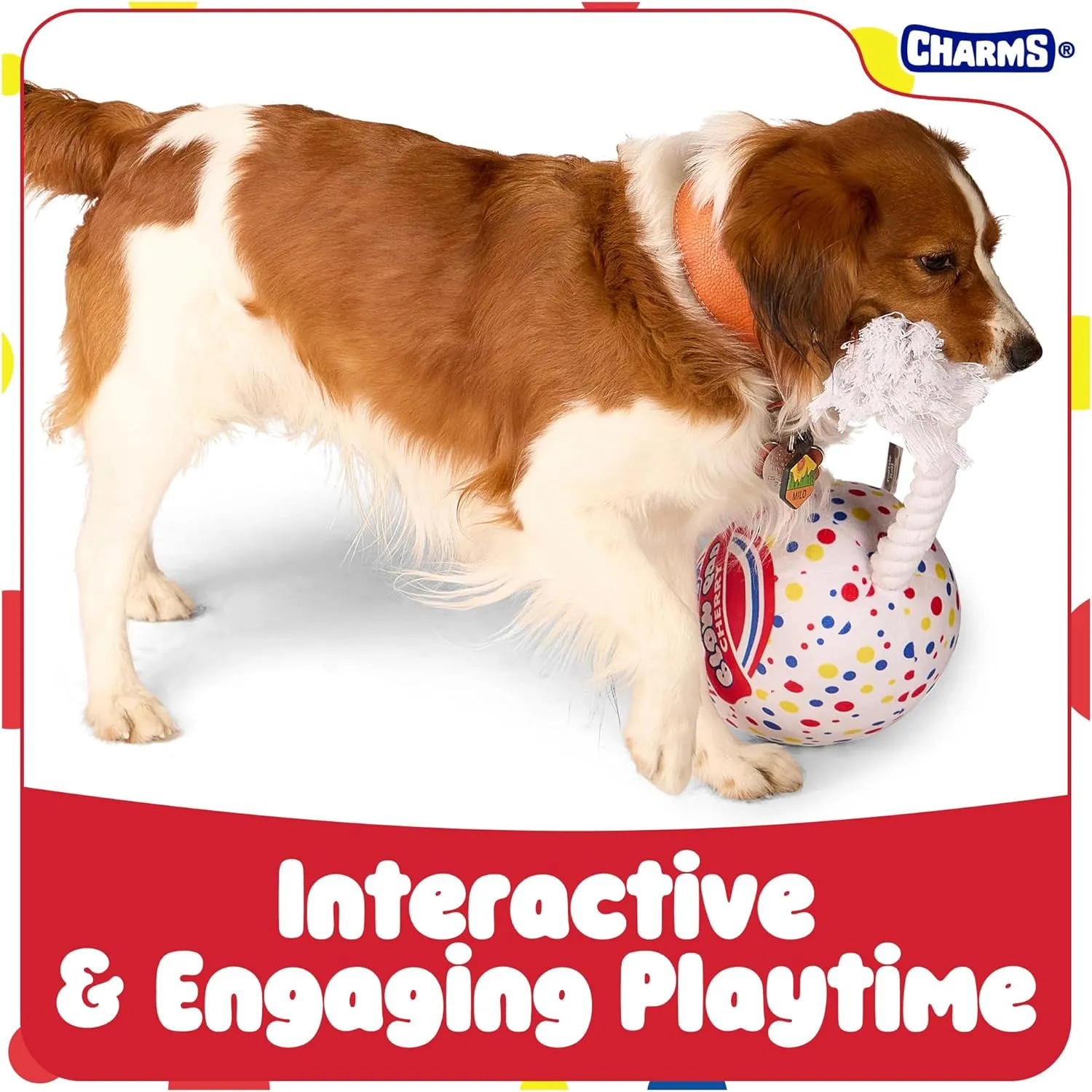 Blow Pop Plush & Rope Dog Toy  Scented Squeaky Plush with Durable Rope Stick  Tug, Fetch & Chew Toy for Dogs  Available in Jumbo & Medium Sizes  Apple, Cherry, Grape & Watermelon