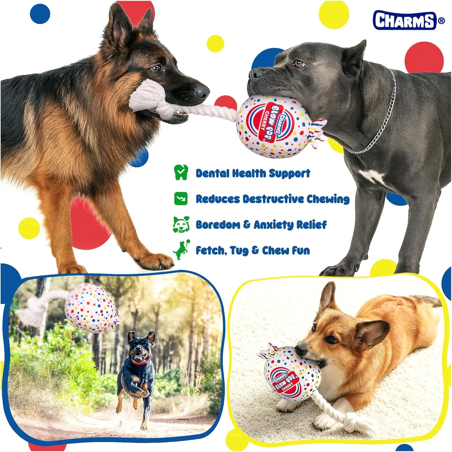 Blow Pop Plush & Rope Dog Toy  Scented Squeaky Plush with Durable Rope Stick  Tug, Fetch & Chew Toy for Dogs  Available in Jumbo & Medium Sizes  Apple, Cherry, Grape & Watermelon