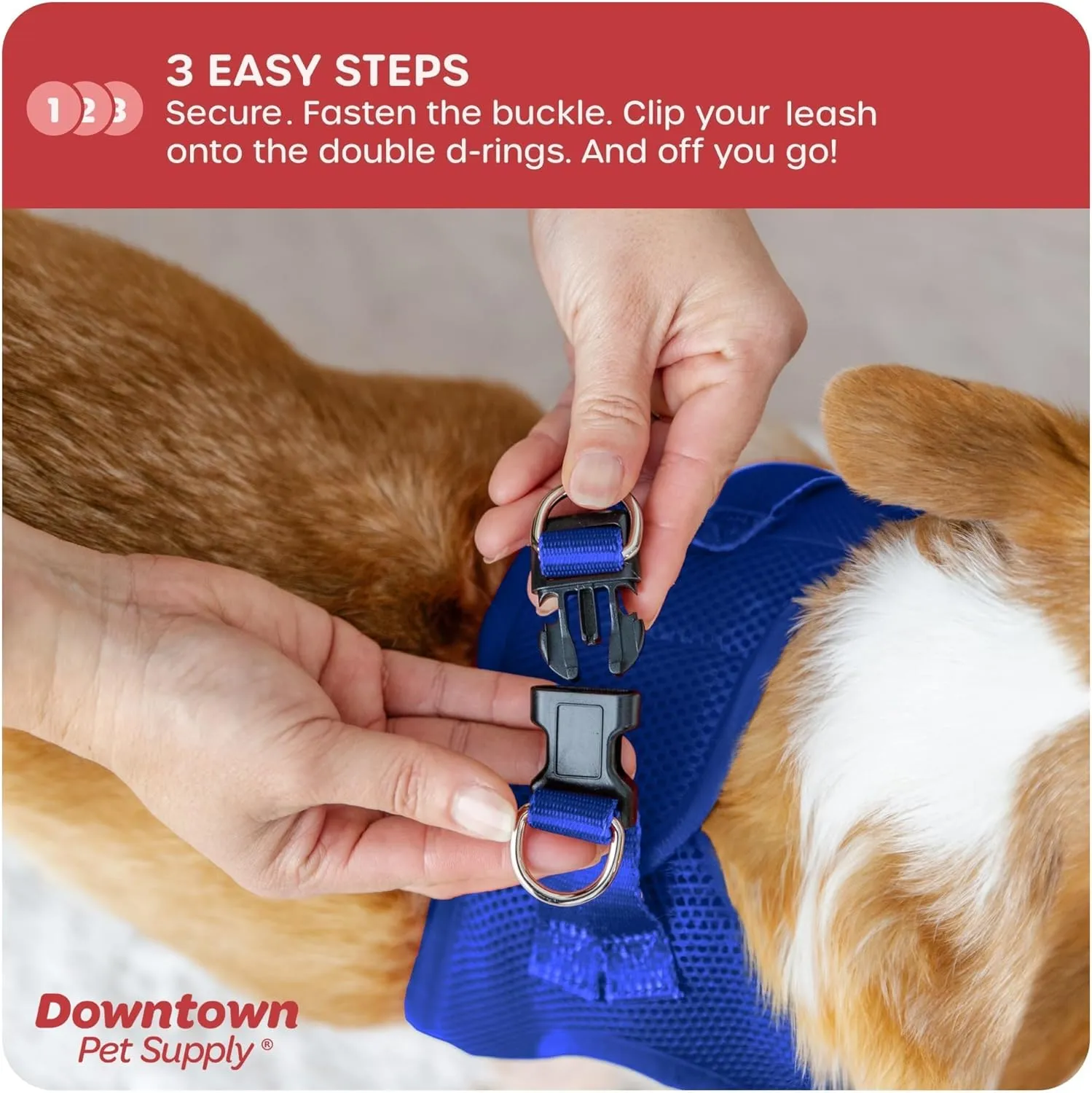 Downtown Pet Supply Step in Dog Harness for Teacup Dogs & Cats No Pull, XX-Small, Blue - Adjustable Harness with Padded Mesh Fabric and Reflective Trim - Buckle Strap Harness for Dogs