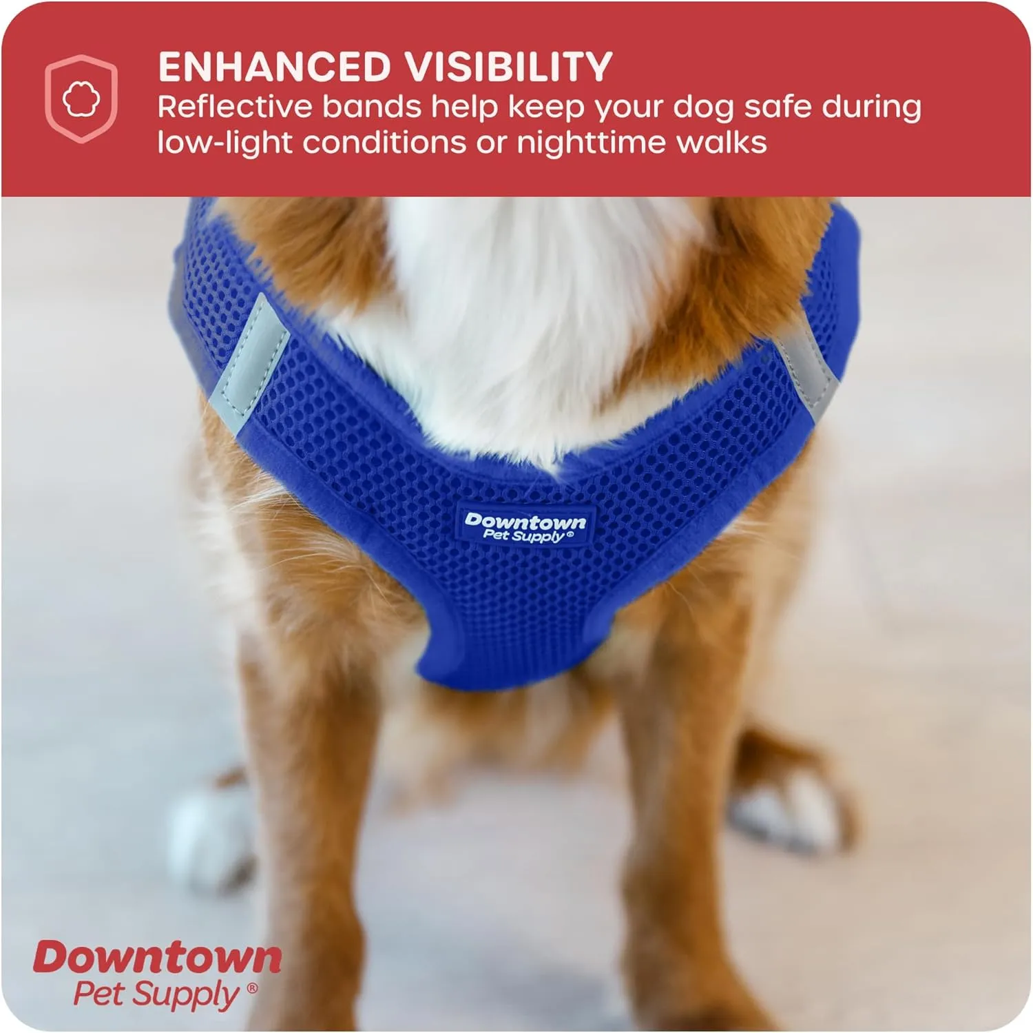 Downtown Pet Supply Step in Dog Harness for Teacup Dogs & Cats No Pull, XX-Small, Blue - Adjustable Harness with Padded Mesh Fabric and Reflective Trim - Buckle Strap Harness for Dogs