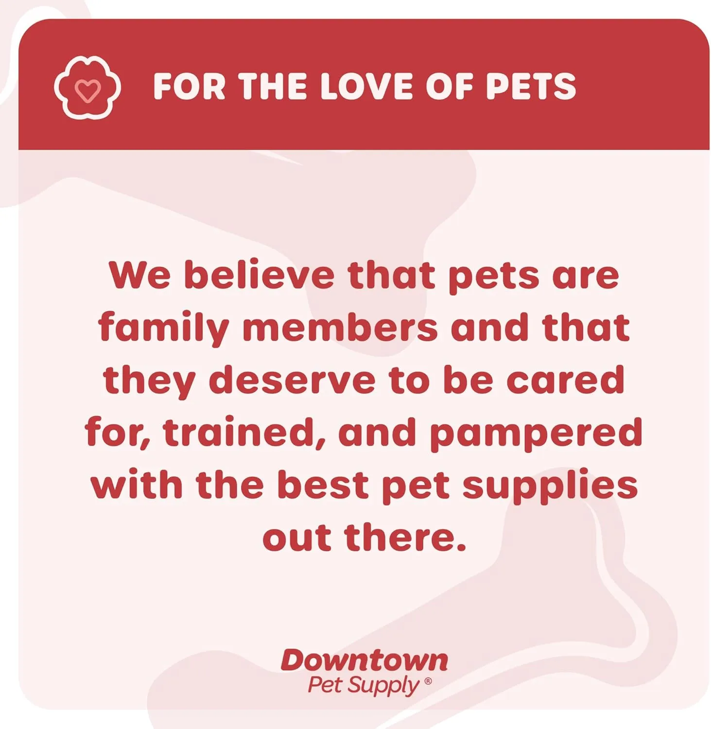 Downtown Pet Supply Step in Dog Harness for Teacup Dogs & Cats No Pull, XX-Small, Blue - Adjustable Harness with Padded Mesh Fabric and Reflective Trim - Buckle Strap Harness for Dogs