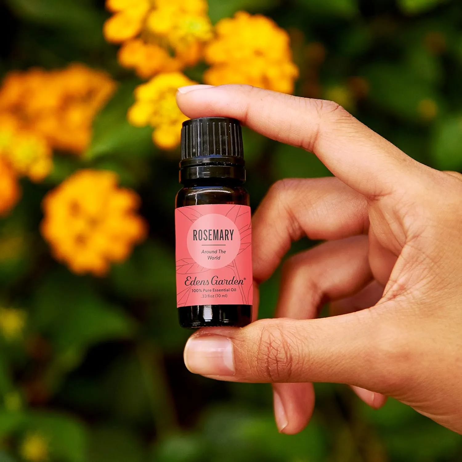 Edens Garden Rosemary Around The World  - 100% ,,,,,,,,,30(1)