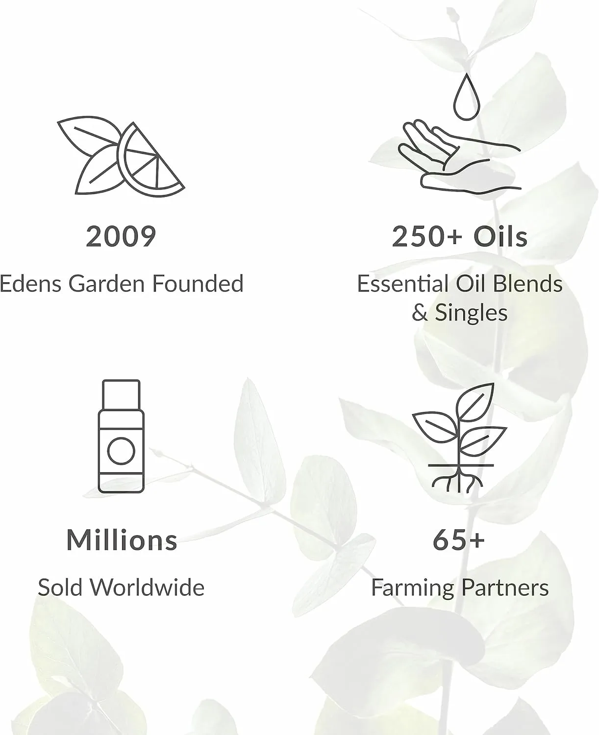 Edens Garden Rosemary Around The World  - 100% ,,,,,,,,,30(1)