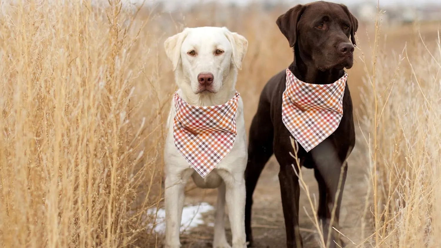 Elegant Little Tail Dog Bandana for Boy Girl Small Medium Large Dogs, Comfortable Bibs Scarf, Adjustable Square Kerchief