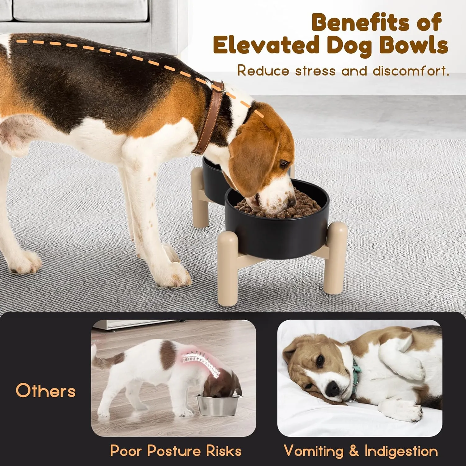 Elevated Ceramic Dog Bowl Set of 2 - Double Dishes with Non-Slip Stand - Raised Food and Water Bowls - Ideal for Small to Medium Dogs - Each Holds 2 Cups (28.75 fl oz) - White