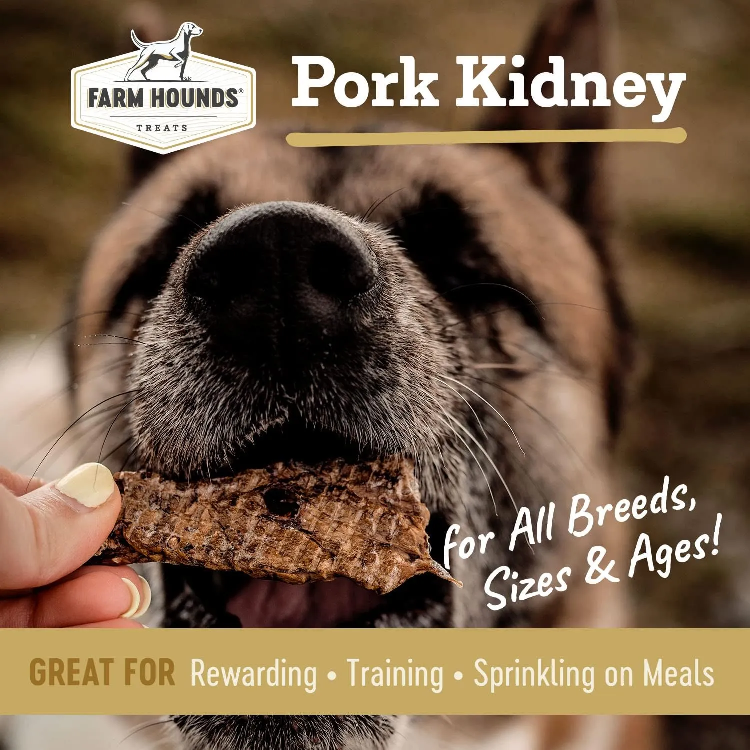 Farm Hounds - Pork Kidney - Premium Natural Jerky for Dogs - Made from 100% Humanely Raised Pork - Organ Treats - Great for Training & Treats - No Added Fillers - Made in USA - 4oz -2 Pack