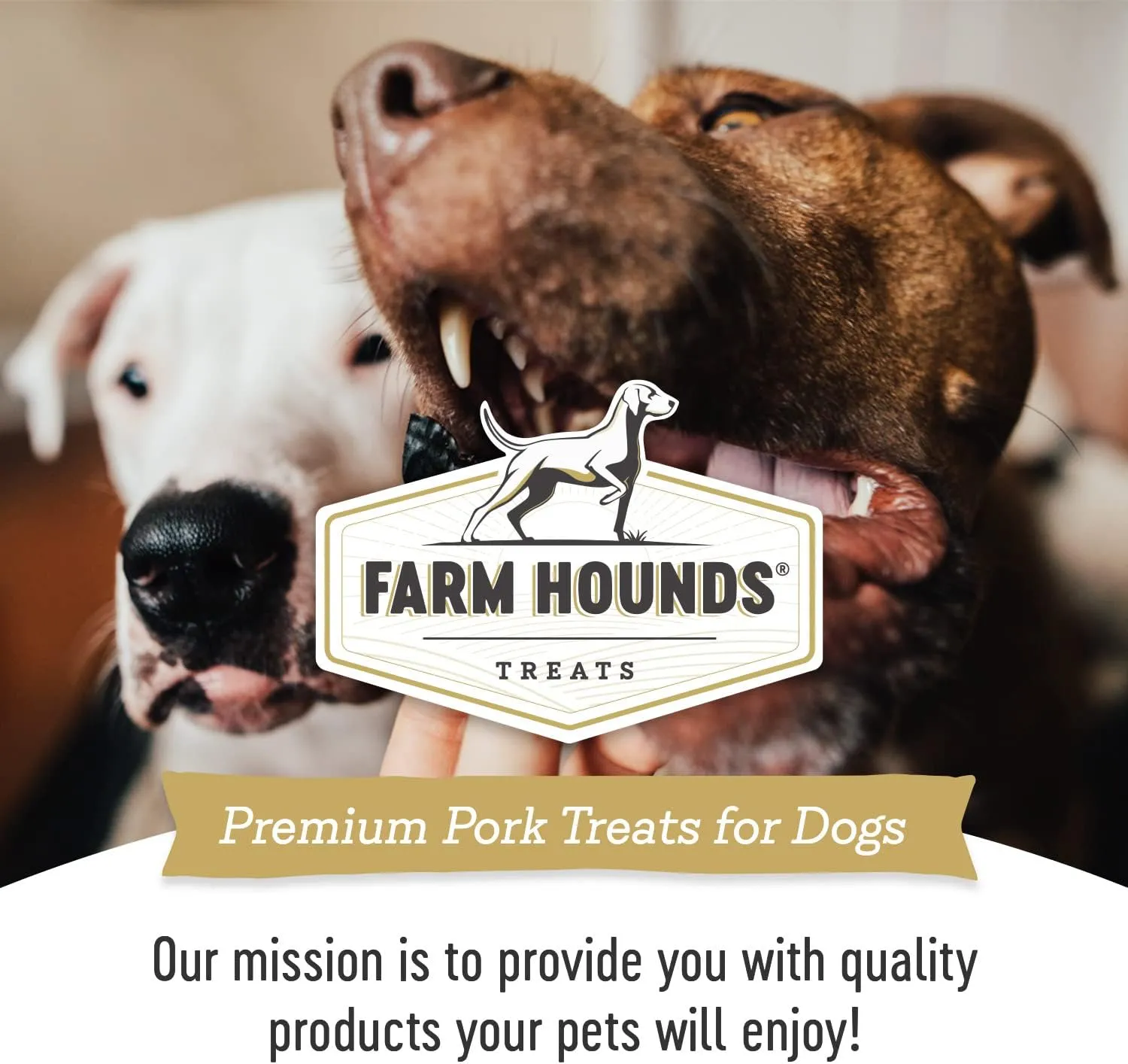 Farm Hounds - Pork Kidney - Premium Natural Jerky for Dogs - Made from 100% Humanely Raised Pork - Organ Treats - Great for Training & Treats - No Added Fillers - Made in USA - 4oz -2 Pack