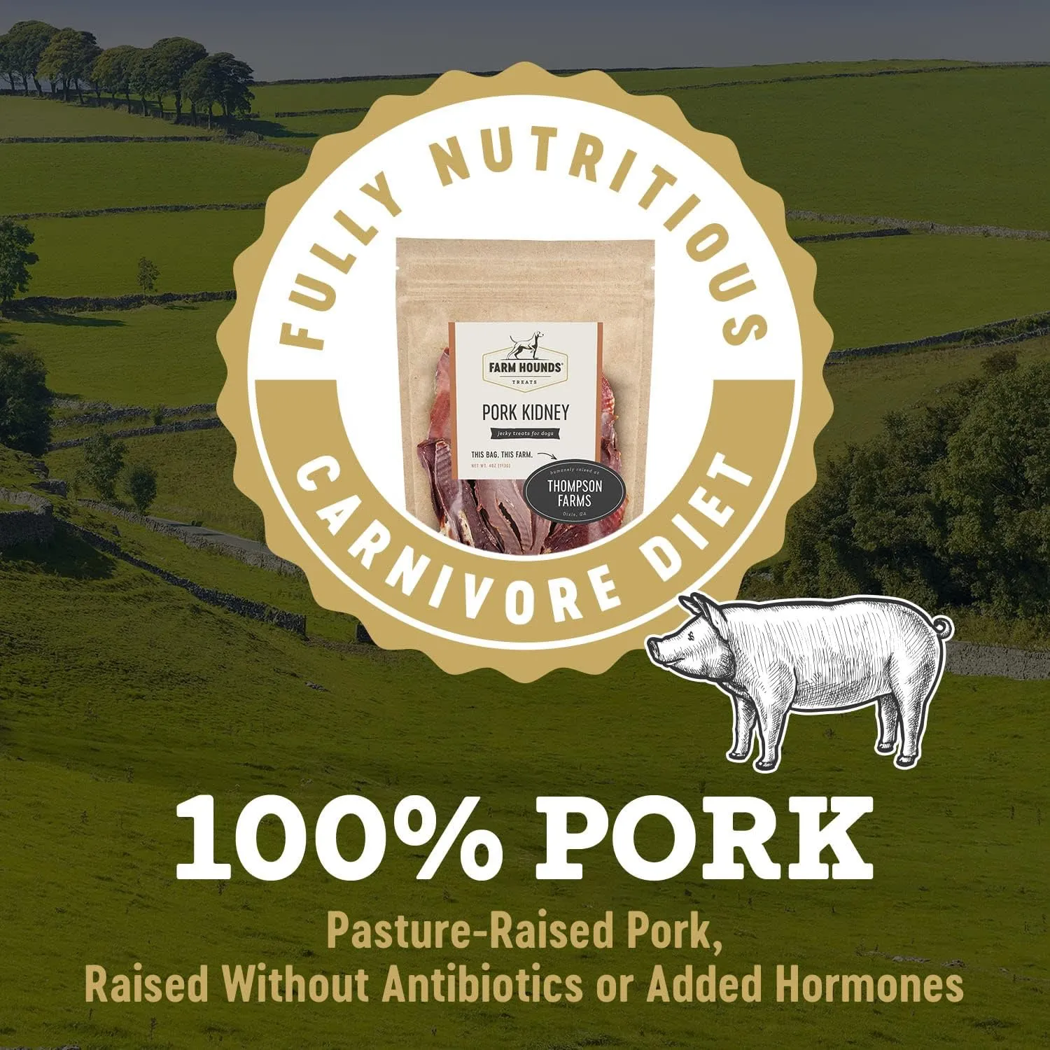 Farm Hounds - Pork Kidney - Premium Natural Jerky for Dogs - Made from 100% Humanely Raised Pork - Organ Treats - Great for Training & Treats - No Added Fillers - Made in USA - 4oz -2 Pack