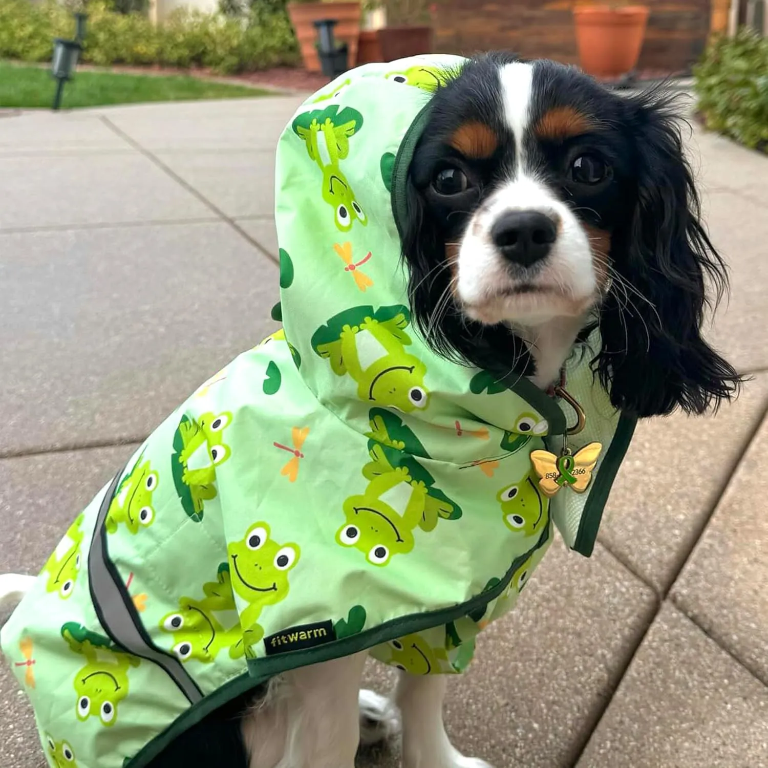 Fitwarm Funny Frog Dog Raincoat with Hood, Waterproof Rain Jacket for Small Dogs Boy Girl, Reflective Pet Poncho with Harness Hole, Packable, Adjustable, Green, Small