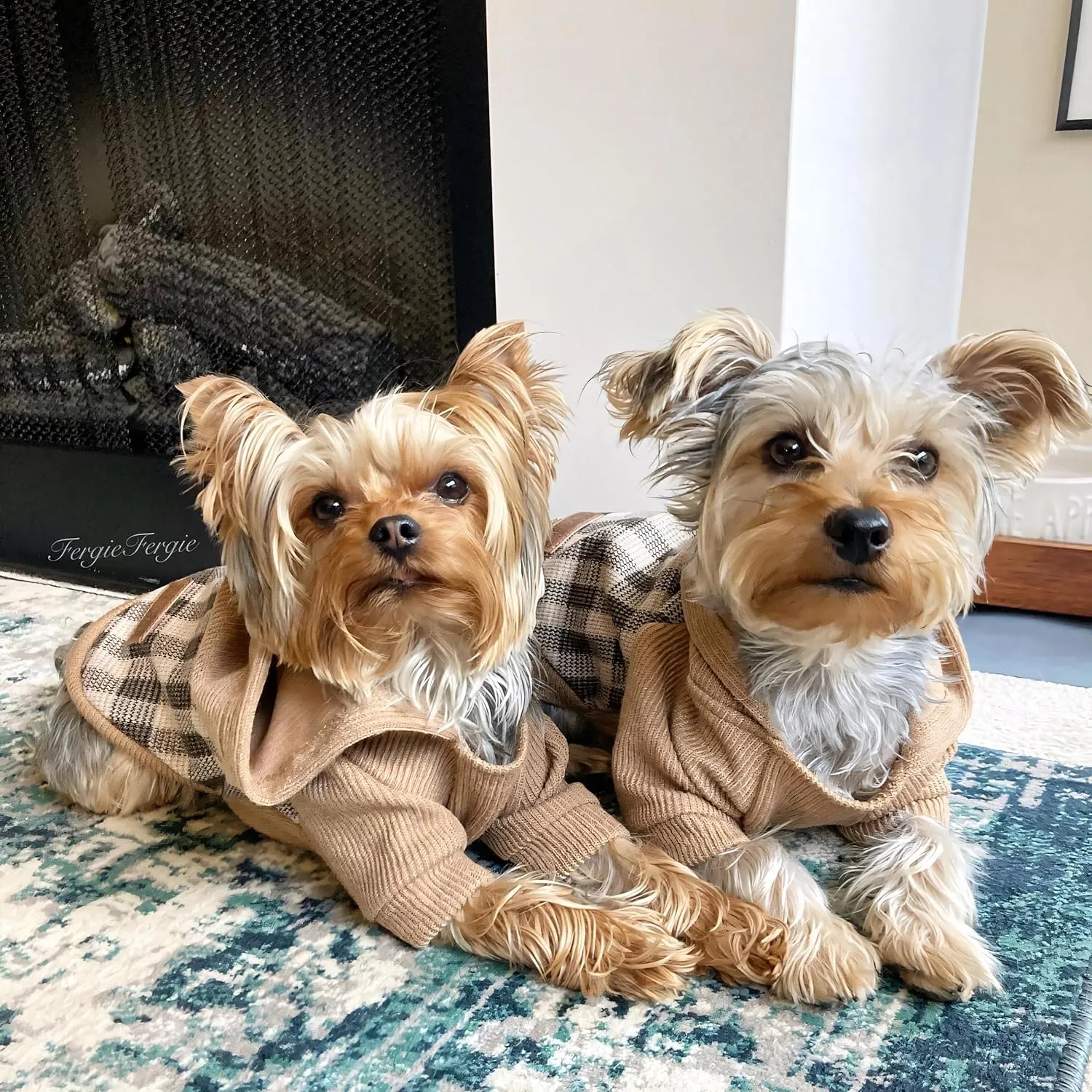 Fitwarm Tartan Plaid Dog Hoodie, Knitted Dog Clothes for Small Dogs Boy, Pet Sweatshirt, Knitted Sweater, Beige, Small