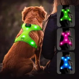 Flashseen LED Dog Harness,Lighted Up USB Rechargeable Pet Harness,Illuminated Reflective Glowing Dog Vest Adjustable Soft Padded No-Pull Suit for Small,Medium,Large Dogs (Green, M)