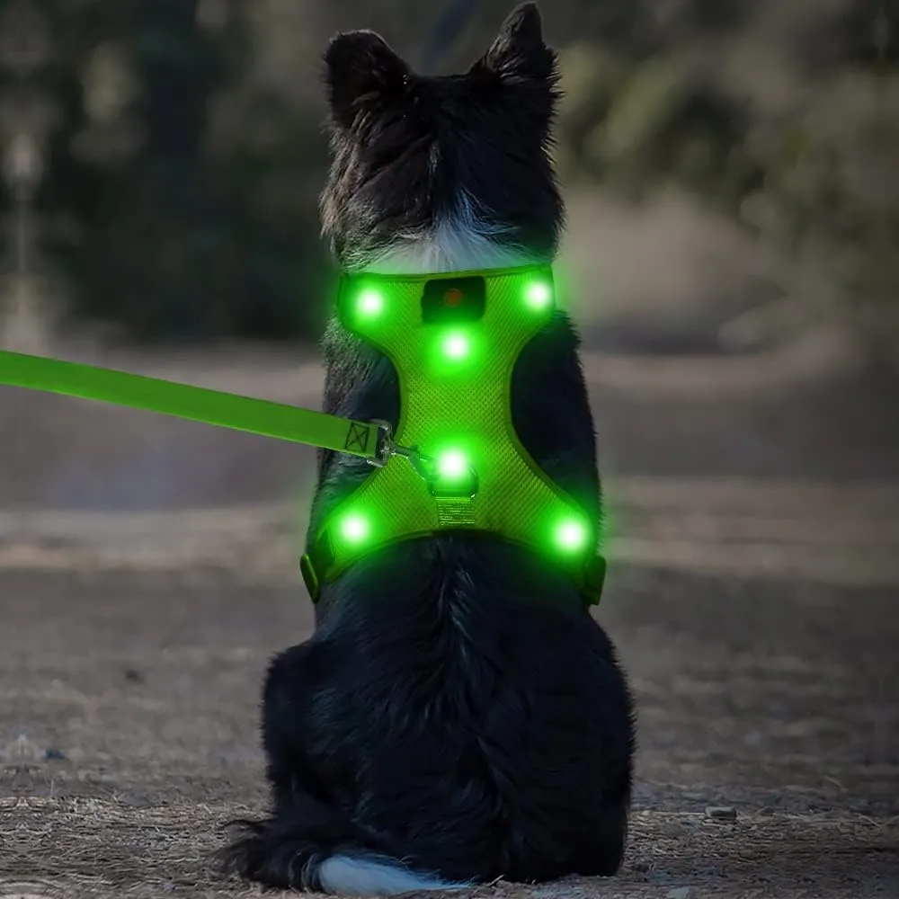 Flashseen LED Dog Harness,Lighted Up USB Rechargeable Pet Harness,Illuminated Reflective Glowing Dog Vest Adjustable Soft Padded No-Pull Suit for Small,Medium,Large Dogs (Green, M)