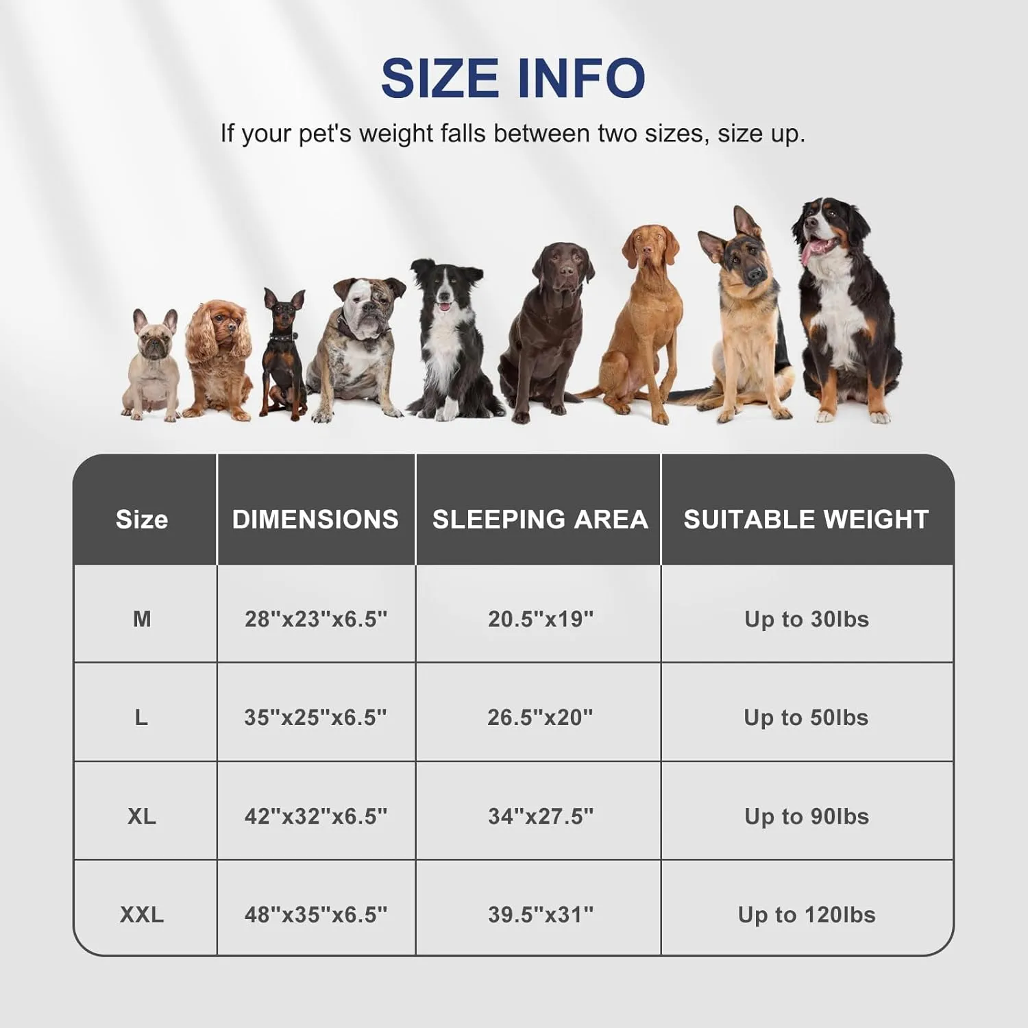 FURTIME Orthopedic Small Dog Beds - Waterproof Ultra Comfy Supportive Foam Pet Couch with Removable Washable Cover, Nonskid Bottom