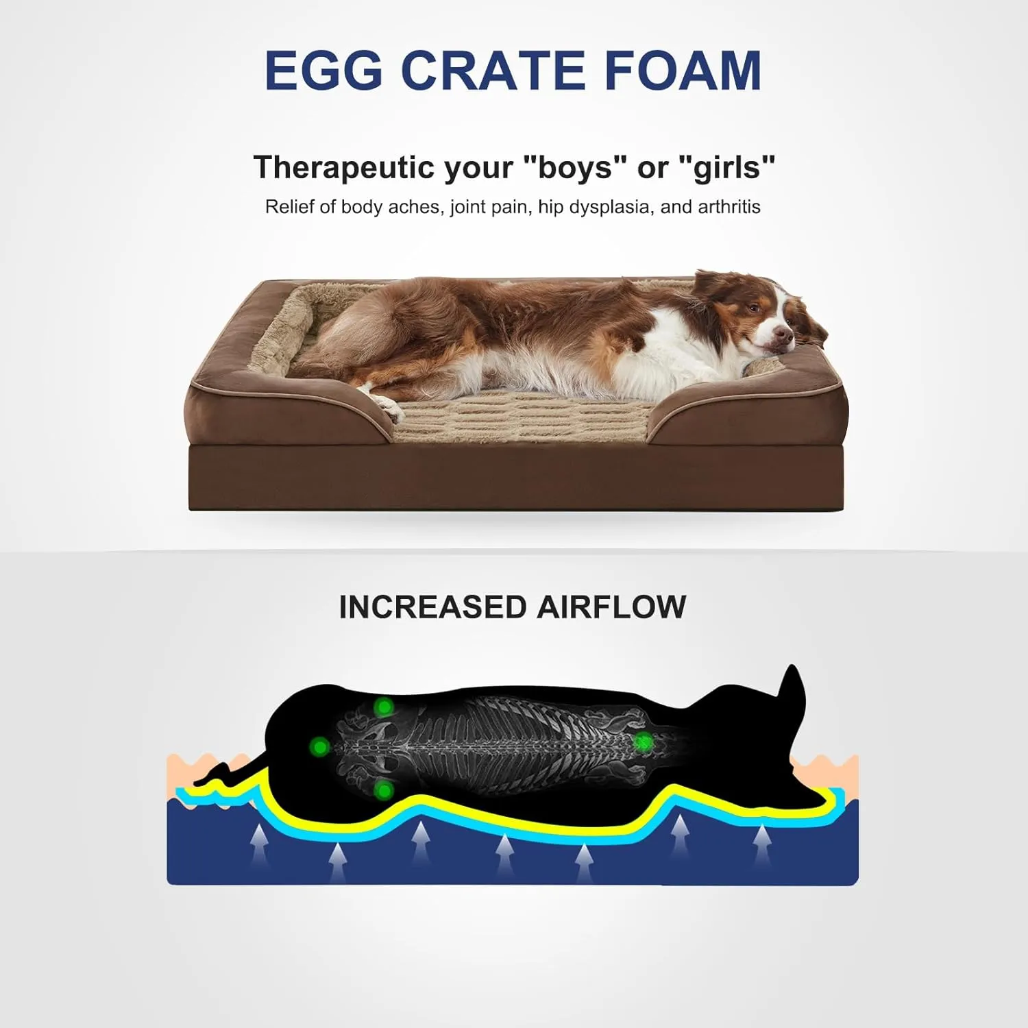FURTIME Orthopedic Small Dog Beds - Waterproof Ultra Comfy Supportive Foam Pet Couch with Removable Washable Cover, Nonskid Bottom