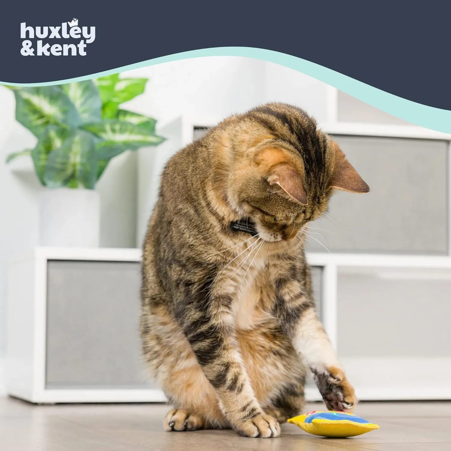 Huxley & Kent Plush Cat Toy - Sweetest Fish - Snack Attack Strong Catnip Filled - Plush Interactive Kitten and Cat Toy with Catnip and Crinkle - Kittybelles