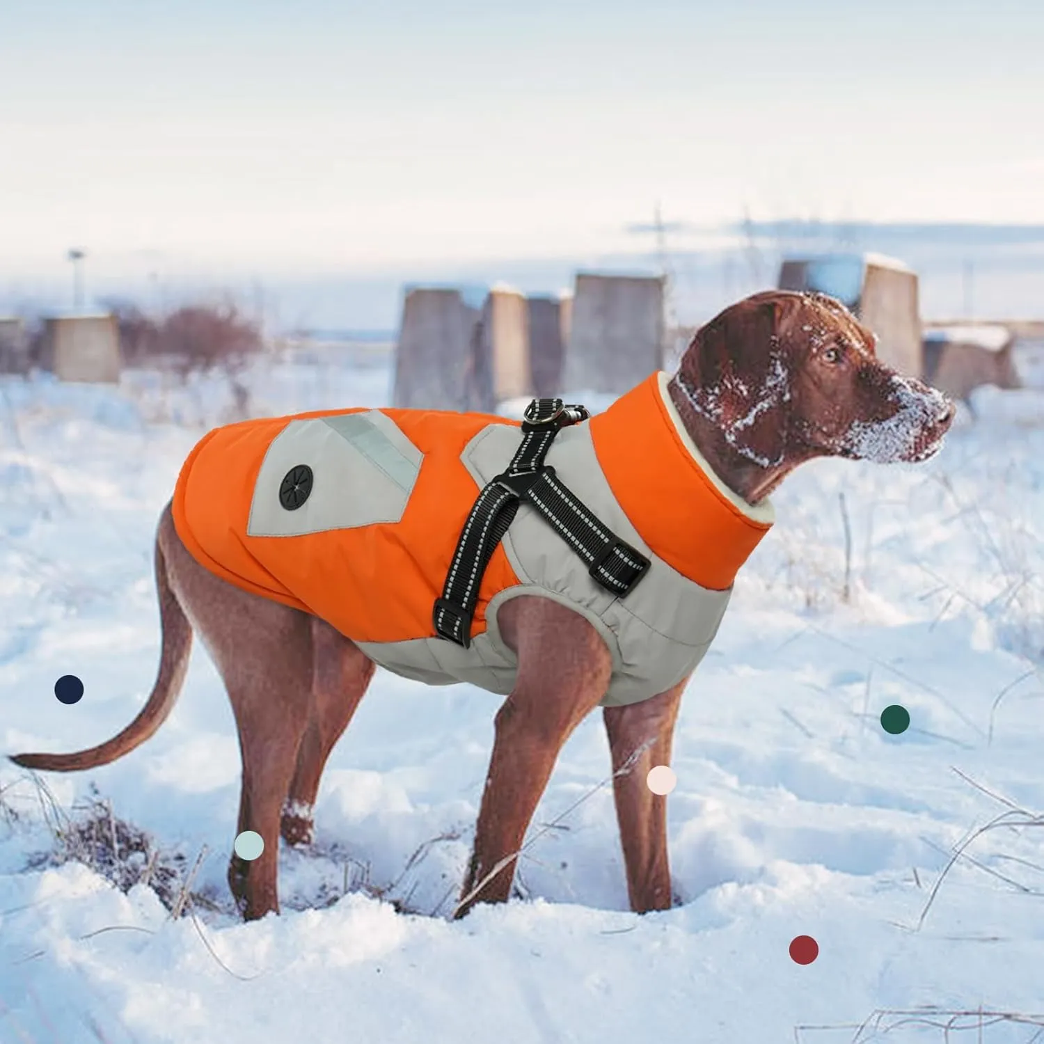 IECOii Dog Coat with Harness Built In - Orange, Large - Waterproof Winter Coat, Fleece Lined Snow Jacket for Dogs