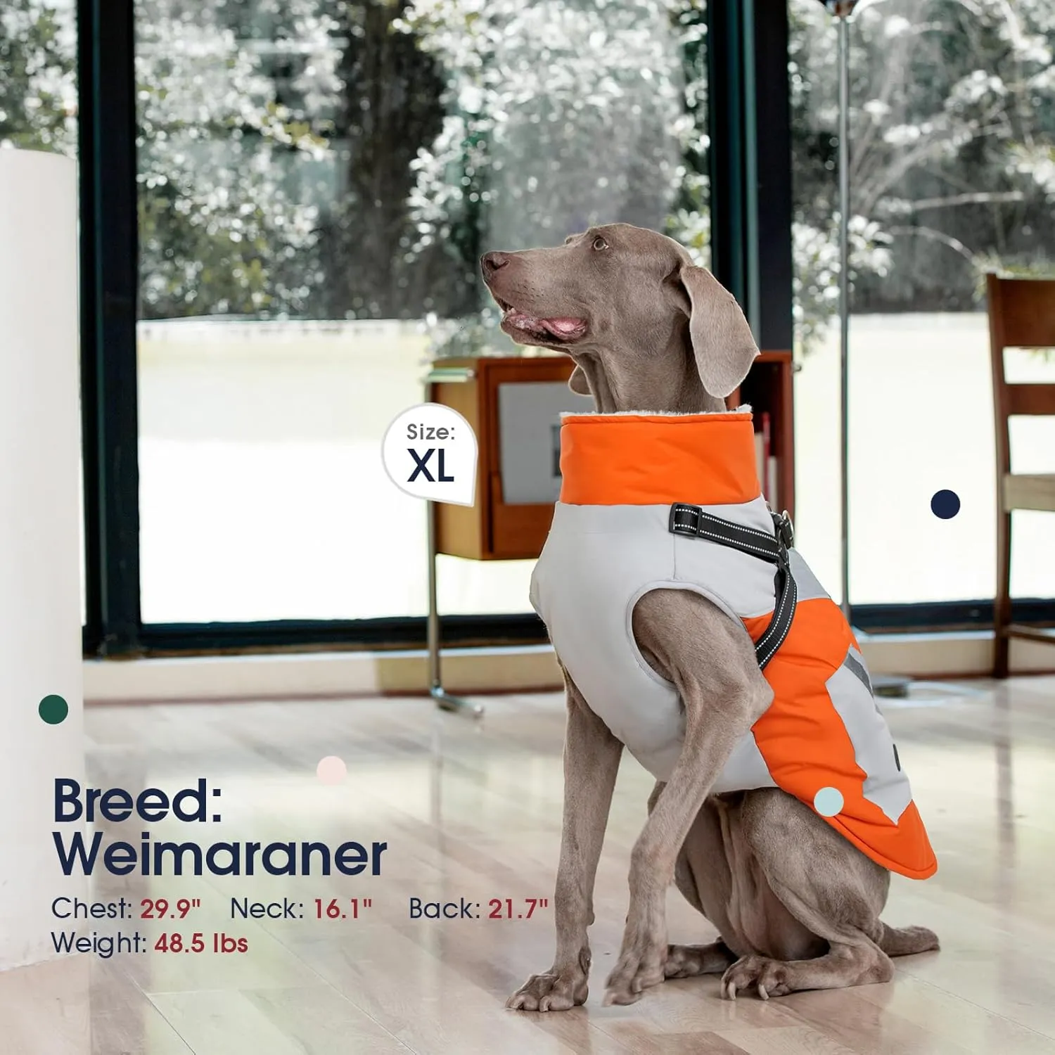 IECOii Dog Coat with Harness Built In - Orange, Large - Waterproof Winter Coat, Fleece Lined Snow Jacket for Dogs