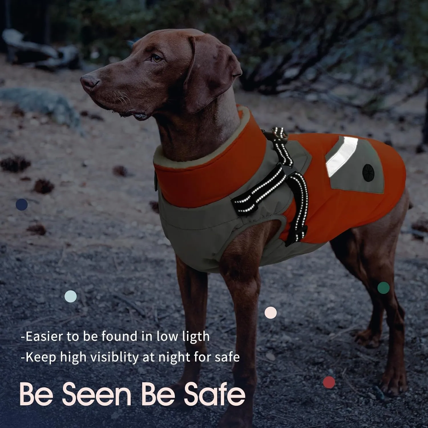IECOii Dog Coat with Harness Built In - Orange, Large - Waterproof Winter Coat, Fleece Lined Snow Jacket for Dogs