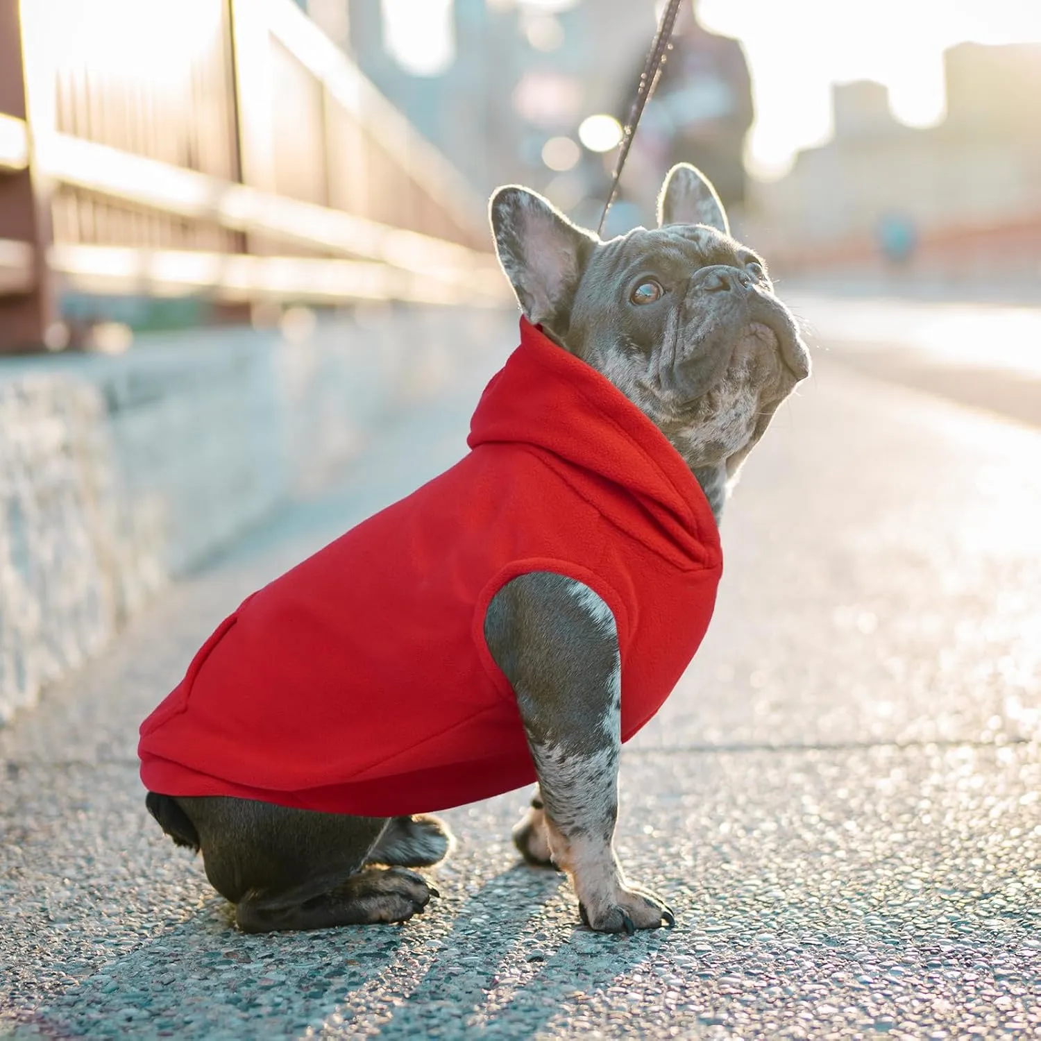 IECOii Dog Hoodie for Large Dogs, Warm Fleece Sweater With Leash Hole, Cozy Cold Weather Coat for Fall Winter, Hoodies Vest for French Bulldog, Dachshund, Red, L