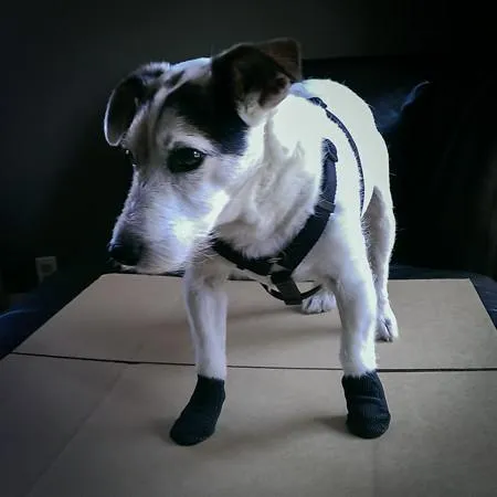 JAWZ Traction Booties