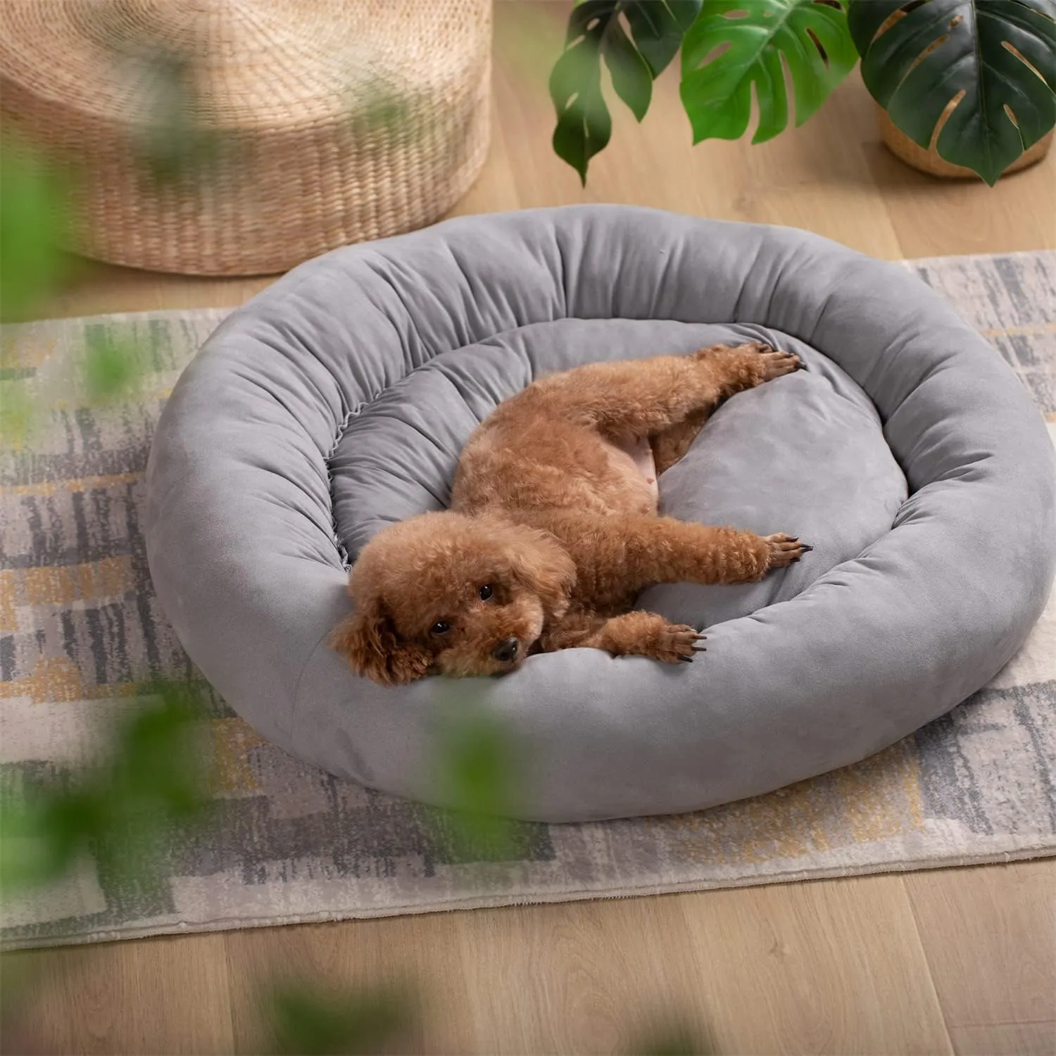 KASENTEX Round Dog Bed for Small Dogs and Puppies - Donut-Shaped, Anti-Slip, Machine Washable Cat Bed - Grey, 20x20 Inches