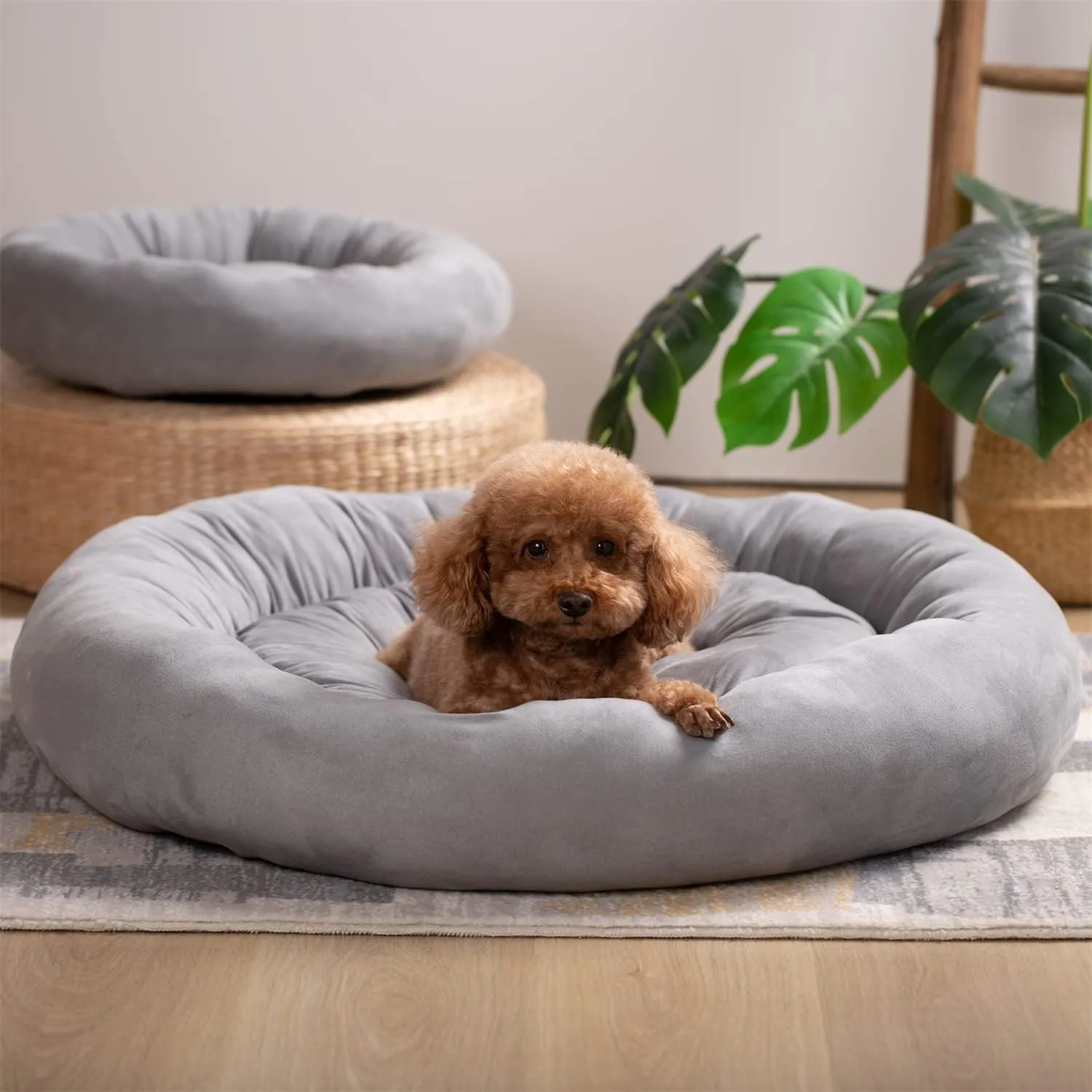 KASENTEX Round Dog Bed for Small Dogs and Puppies - Donut-Shaped, Anti-Slip, Machine Washable Cat Bed - Grey, 20x20 Inches