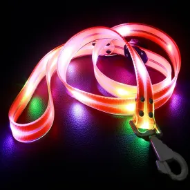 LED Waterproof Pet Dog Leash USB Rechargeable Fashionable Color Glow in The Dark Night Walk Safety Dog Leash for Medium to Large Dogs
