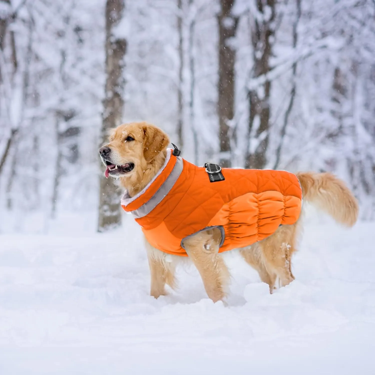Lelepet Dog Coat with Harness Built in, Waterproof, Windproof, Reflective, Fleece Vest with Turtleneck & Zipper - Coats for Medium Dogs in Cold Weather, Blaze Orange, M