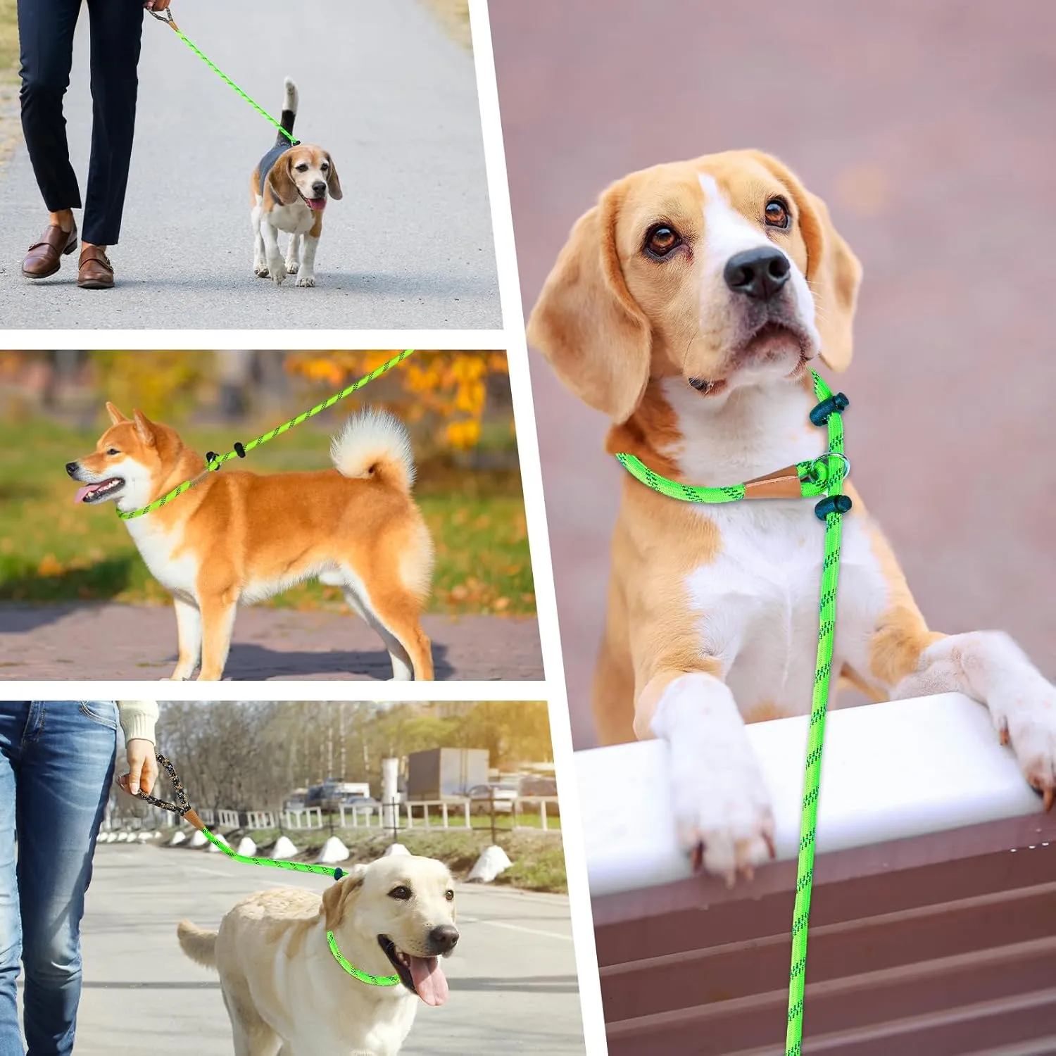 lynxking Slip Lead Dog Leash Reflective, Heavy Duty Comfortable Strong Rope for Large Medium Small Dogs No Pull Pet Training (Light Green, Large 1/2in x 6ft-Slip Lead)