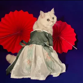 Original Pet Hanfu - Antique Chinese Style Clothes for Cats and Dogs