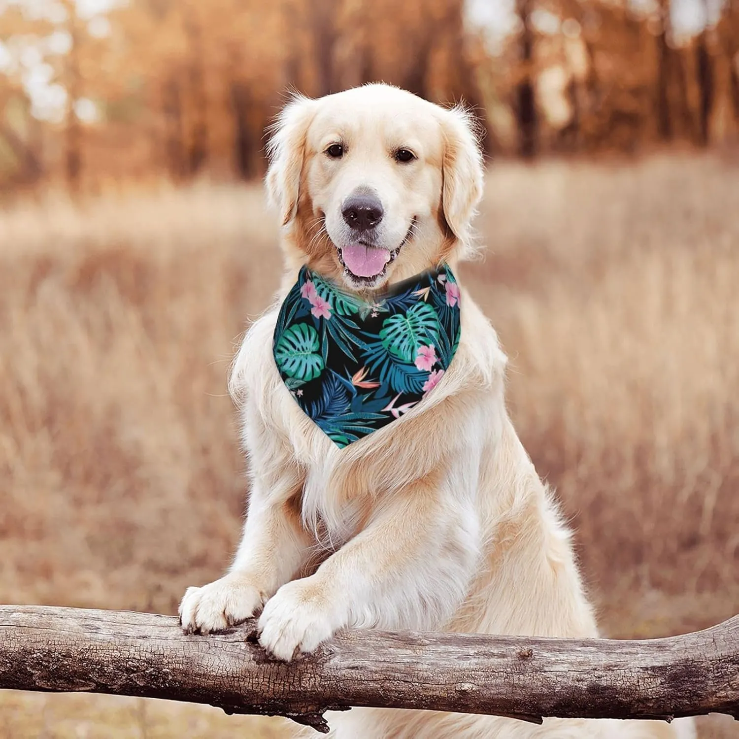 Palm Leaves Flower Tropical Dog Bandana Scarf Triangle Bibs Pet Accessories Cat Kerchief