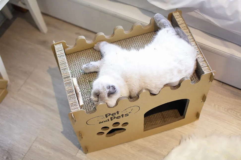 Pet and Pets Bungalow Eco Pet House