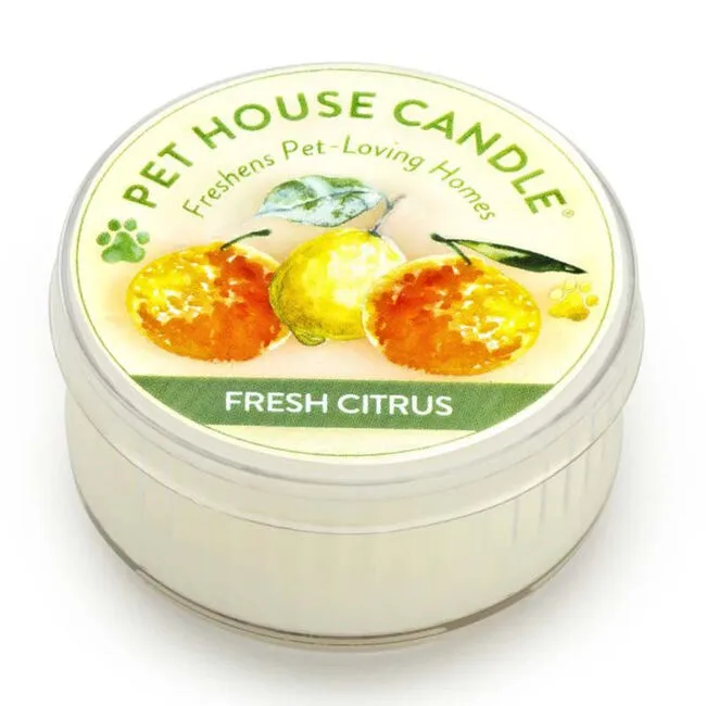 Pet House Mini Candle
