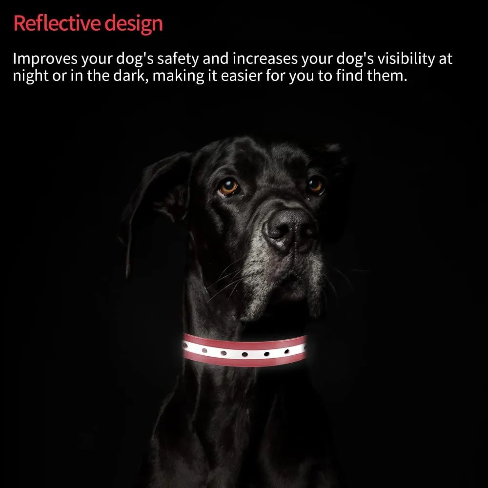 PetJoy Dog Collars Strap, Replacement Collar for Shock Reflective Collar, Adjustable Classic Dog Collar Strap for All Varieties Small Medium Large Dogs (Black & Red)