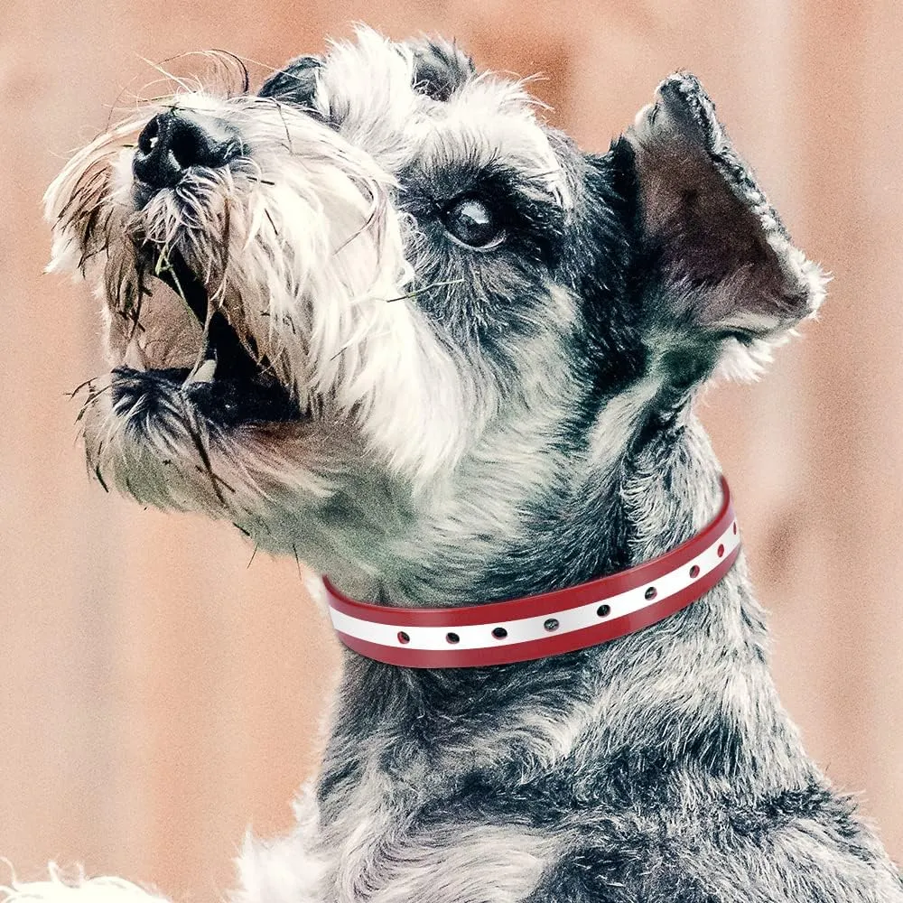 PetJoy Dog Collars Strap, Replacement Collar for Shock Reflective Collar, Adjustable Classic Dog Collar Strap for All Varieties Small Medium Large Dogs (Black & Red)