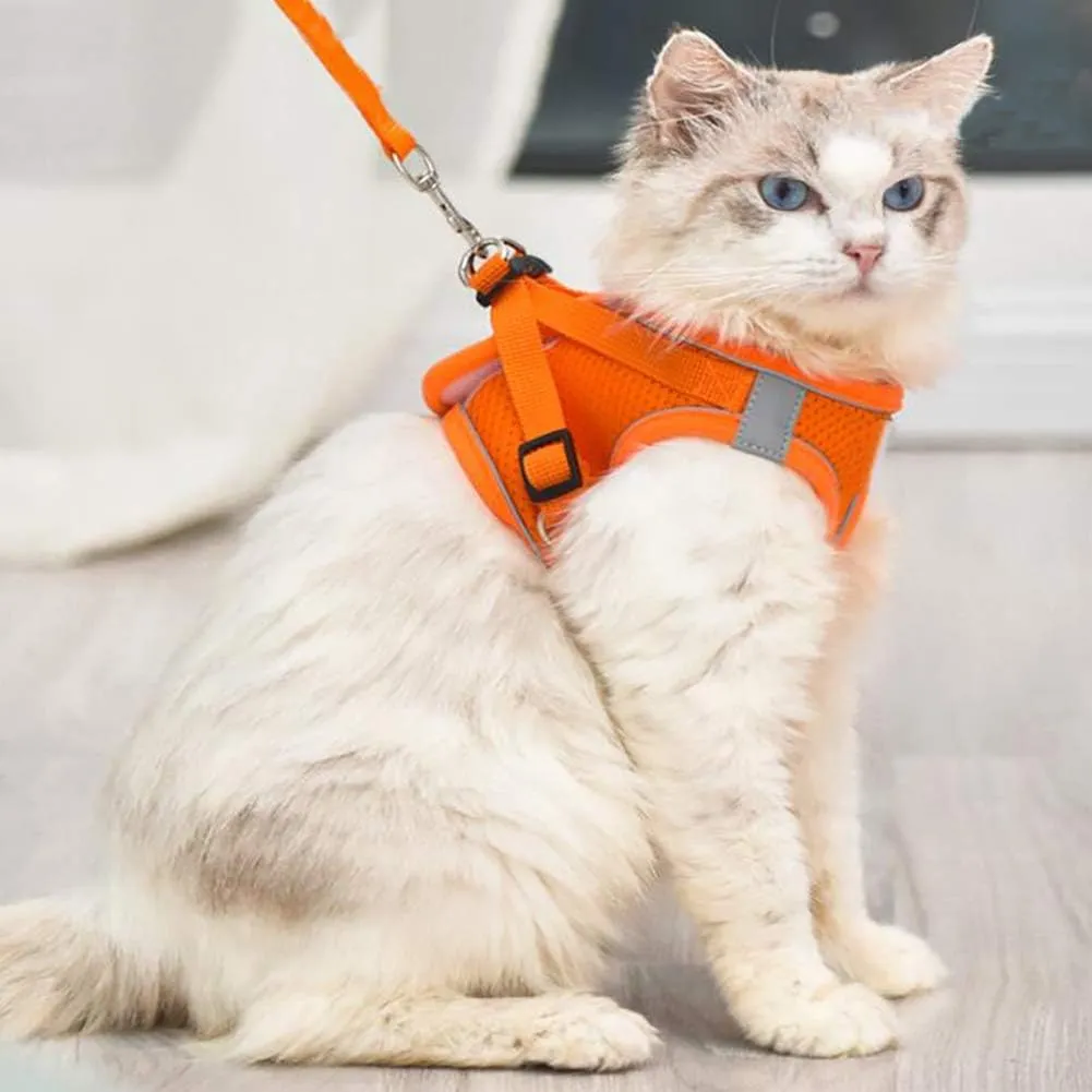 Puppy Harness and Leash Set, Escape Proof Dog Cat Vest Harness for Cats Small Medium Dogs, Adjustable Reflective Step in Harness,Soft Mesh Comfort Fit No Pull No Choke (Medium(13.7"-15.7"), Orange)