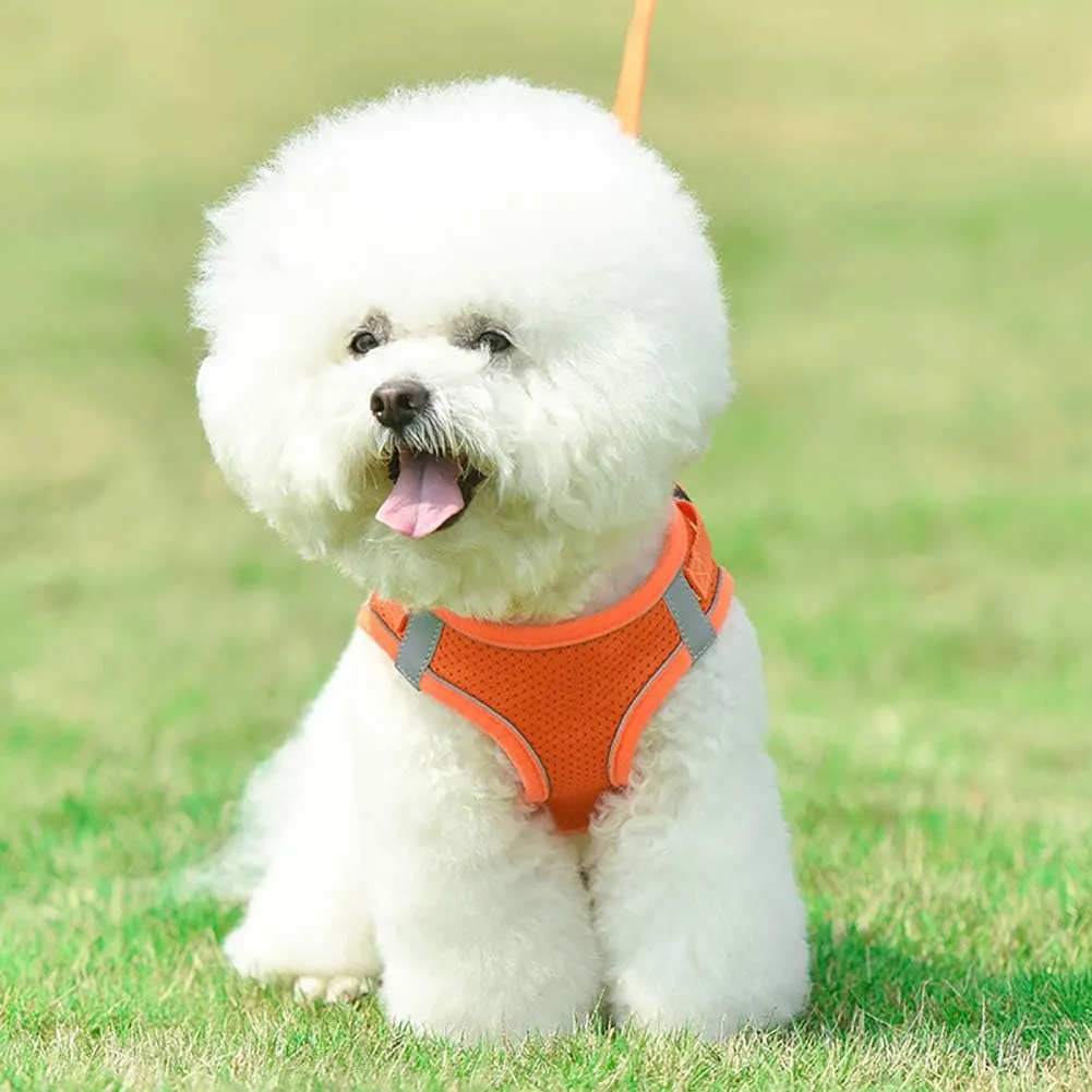 Puppy Harness and Leash Set, Escape Proof Dog Cat Vest Harness for Cats Small Medium Dogs, Adjustable Reflective Step in Harness,Soft Mesh Comfort Fit No Pull No Choke (Medium(13.7"-15.7"), Orange)