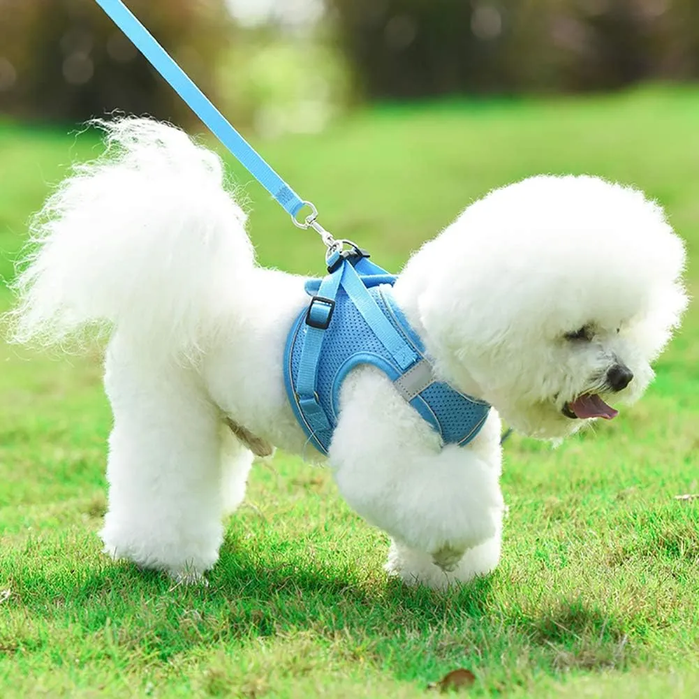 Puppy Harness and Leash Set, Escape Proof Dog Cat Vest Harness for Cats Small Medium Dogs, Adjustable Reflective Step in Harness,Soft Mesh Comfort Fit No Pull No Choke (Small(11.8"-13.3"), Blue)