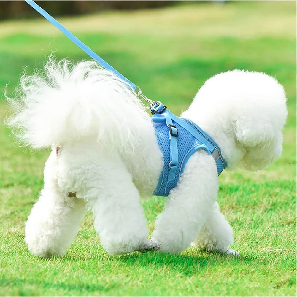 Puppy Harness and Leash Set, Escape Proof Dog Cat Vest Harness for Cats Small Medium Dogs, Adjustable Reflective Step in Harness,Soft Mesh Comfort Fit No Pull No Choke (Small(11.8"-13.3"), Blue)