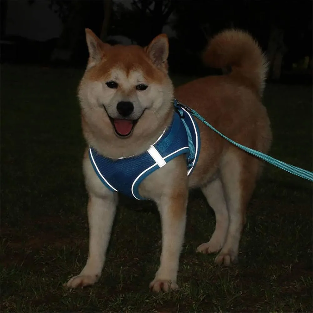 Puppy Harness and Leash Set, Escape Proof Dog Cat Vest Harness for Cats Small Medium Dogs, Adjustable Reflective Step in Harness,Soft Mesh Comfort Fit No Pull No Choke (Small(11.8"-13.3"), Blue)