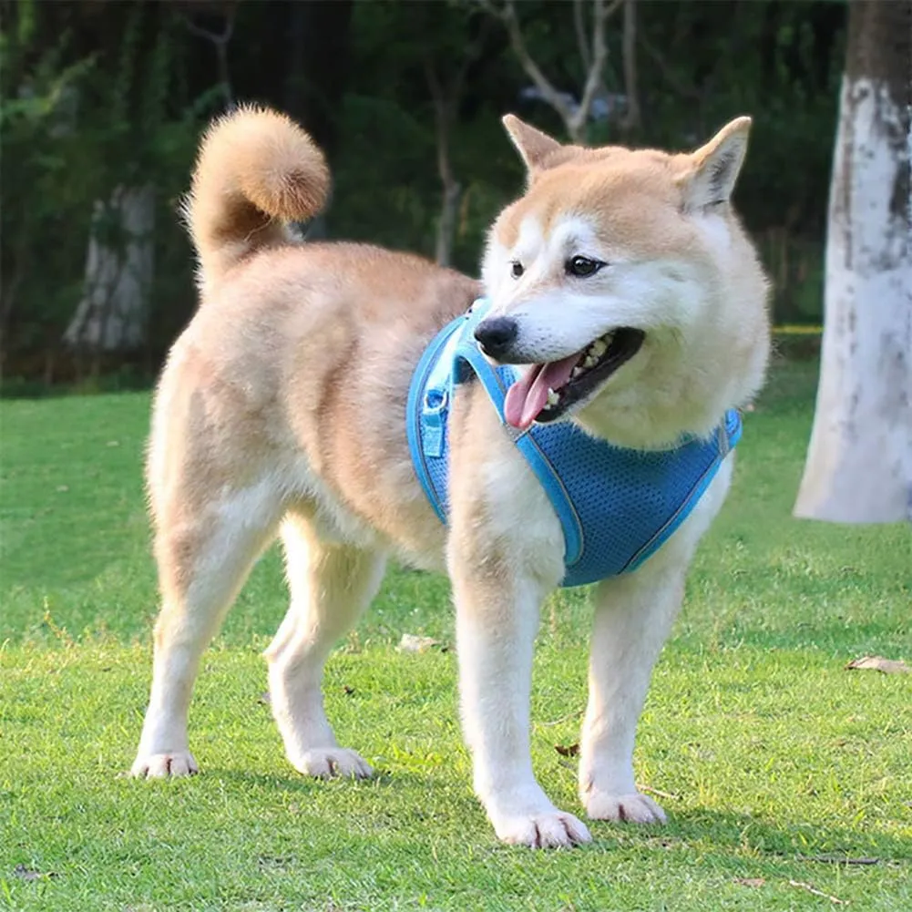 Puppy Harness and Leash Set, Escape Proof Dog Cat Vest Harness for Cats Small Medium Dogs, Adjustable Reflective Step in Harness,Soft Mesh Comfort Fit No Pull No Choke (Small(11.8"-13.3"), Blue)