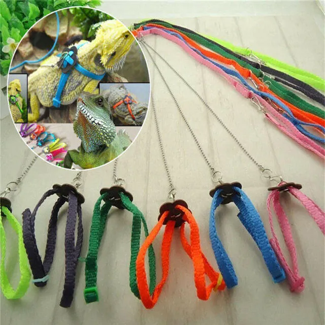 Reptile Harness with Leash