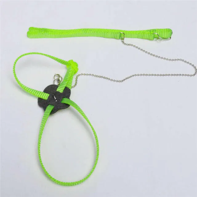 Reptile Harness with Leash