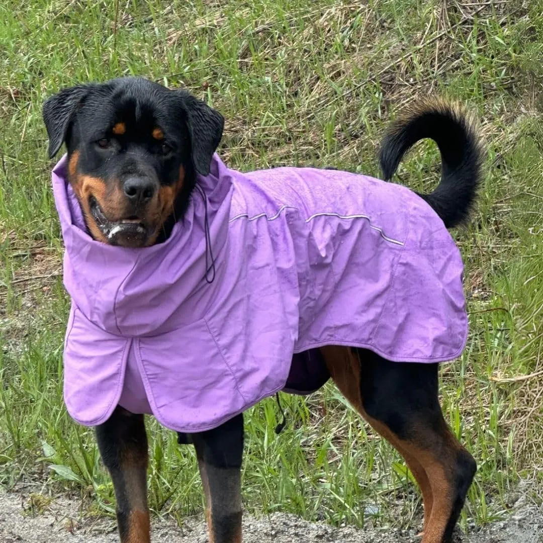 Spark Paws Dog Raincoat, Waterproof Windproof Rain Jacket, for Small Medium Large Extra Large Dogs, Reflective Breathable Full-Body Coverage Dry Suit - Purple - S